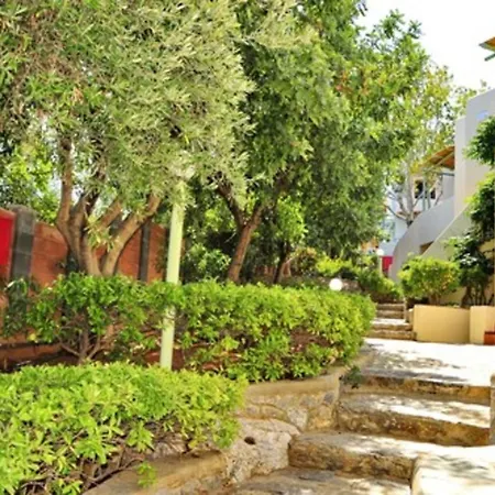 Magia Village